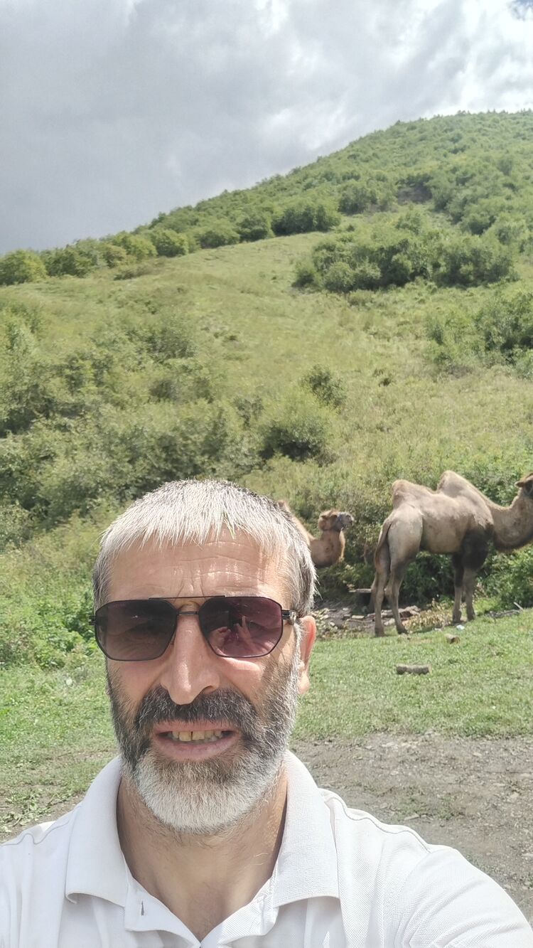  ,   , 46 ,   ,   