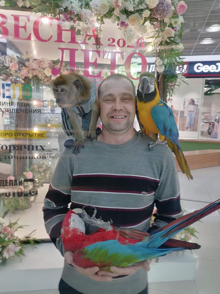 ���� 56252119 ������� �������, 38 ���, ���� ���������� � ������ ������