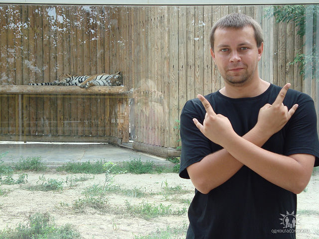 ���� 16309489 ������� ����, 42 ����, ���� ���������� � �������-��-����