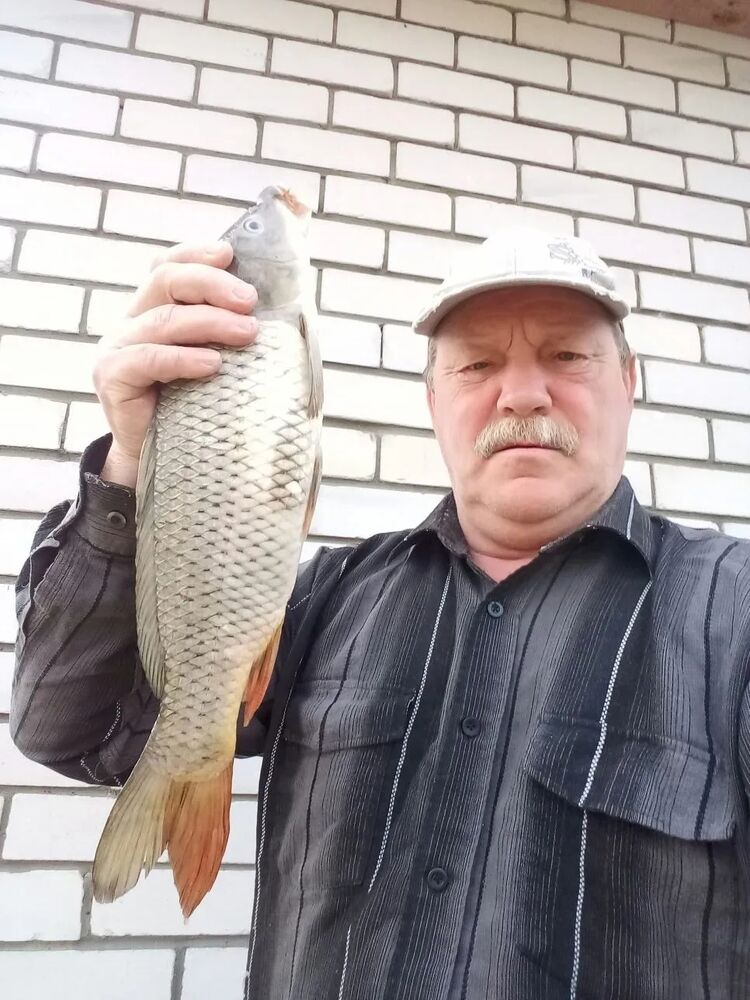 ���� 51684839 ������� ����, 66 ���, ���� ���������� � ����������