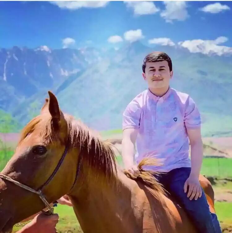 ���� 36185879 ����� ����, 23 ����, ���� ���������� � ��������