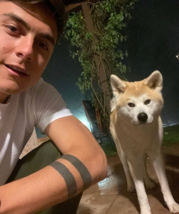 ���� 43999909 ����� Iker, 25 ���, ���� ���������� � ������