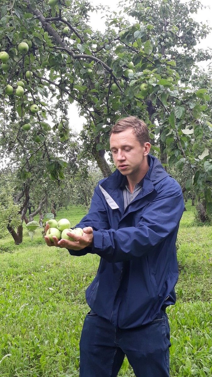 ���������� ������, ���� ������� �����, 37 ���, ������������ ��� ������, ����� � ���������, c�������� ���������