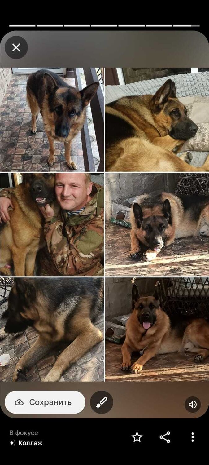 ���� 55152259 ������� ������, 37 ���, ���� ���������� � ��������