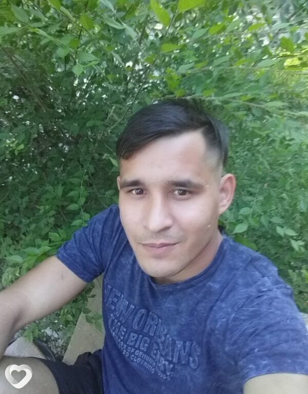  39506679  , 31 ,    