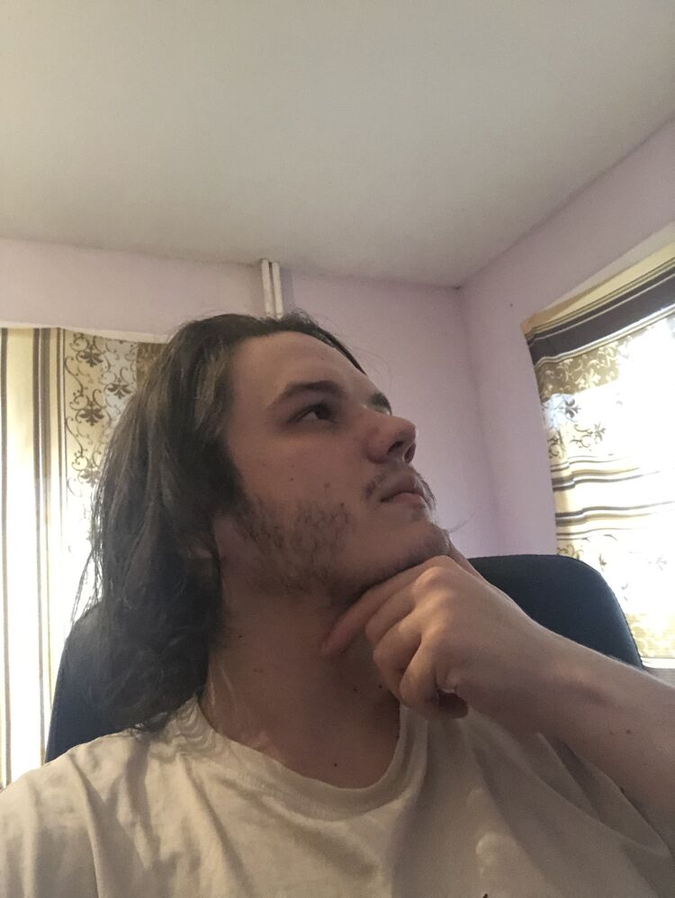  42312919  , 21 ,    