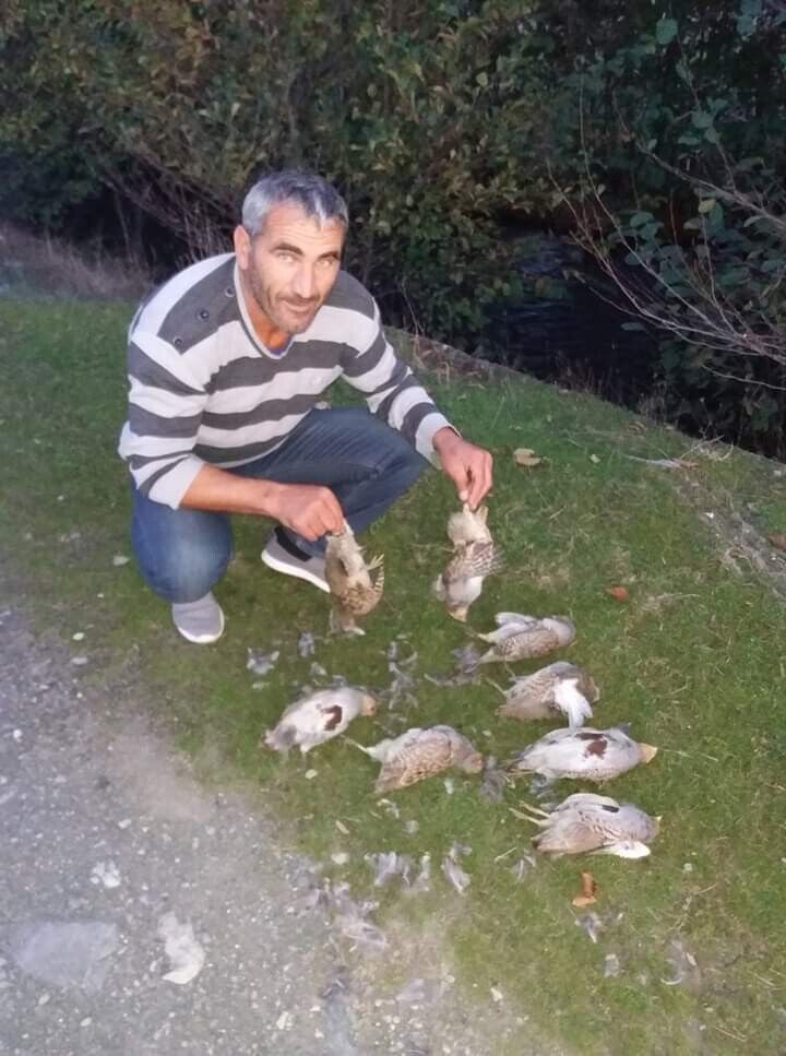 ���� 19928609 ������� Solomon, 51 ���, ���� ���������� � �������