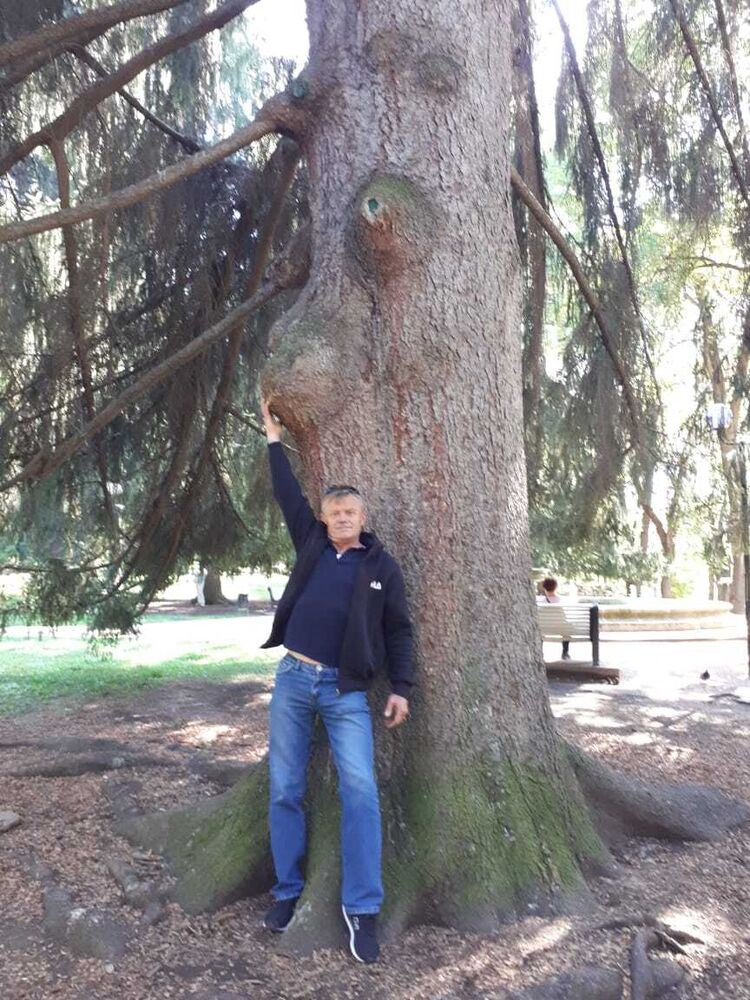 ���� 52315409 ������� ����, 56 ���, ���� ���������� � �������