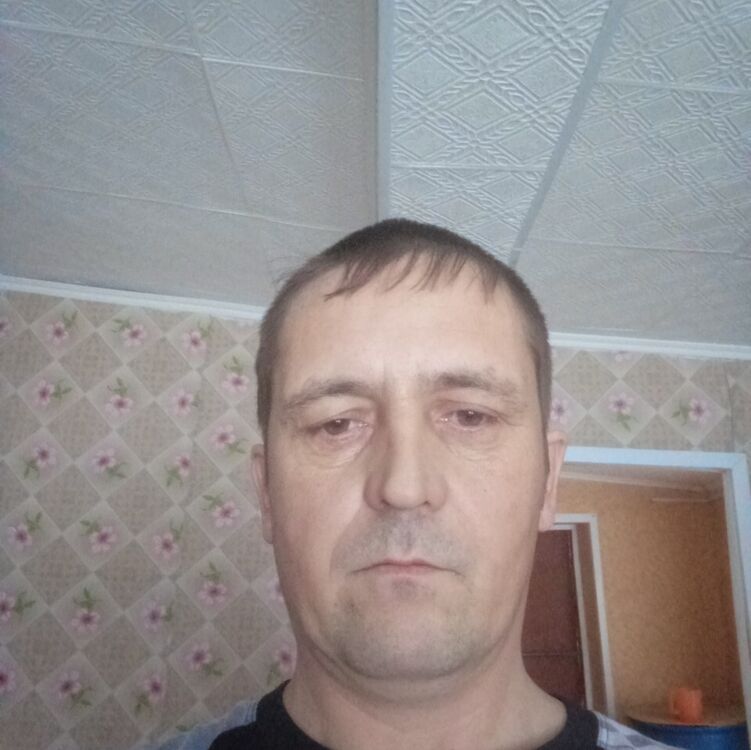  33144859  , 42 ,    -