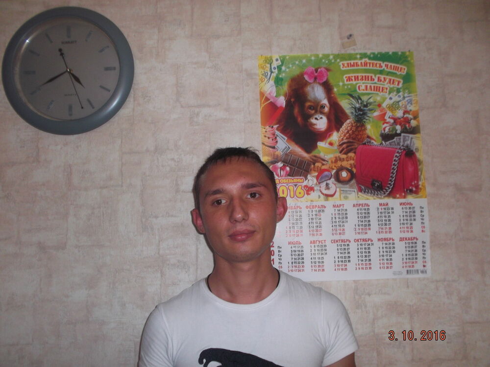  8163759  , 31 ,    -