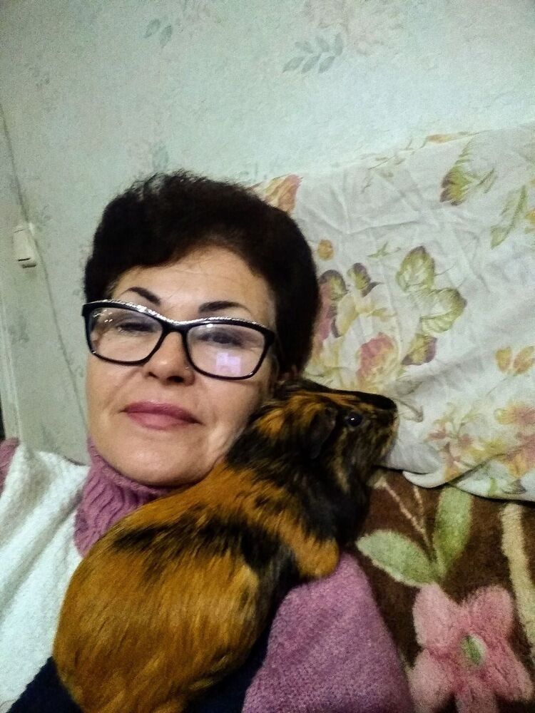  ,   , 56 ,   ,   