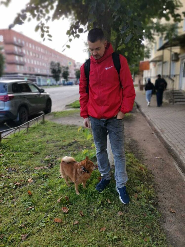  53412059  , 37 ,    -