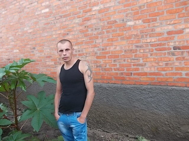  8166629  , 40 ,    