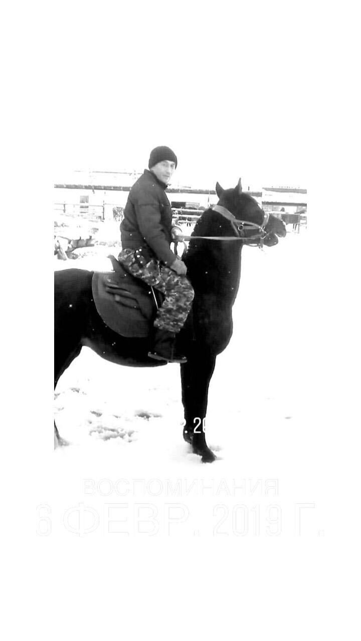 ���� 25782479 ������� �����, 51 ���, ���� ���������� � ������