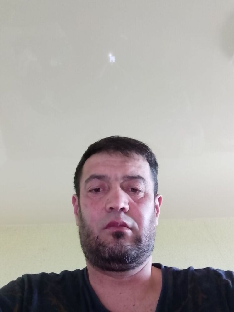  33901269  , 42 ,     