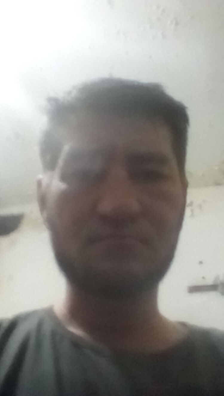  35181459  , 43 ,    