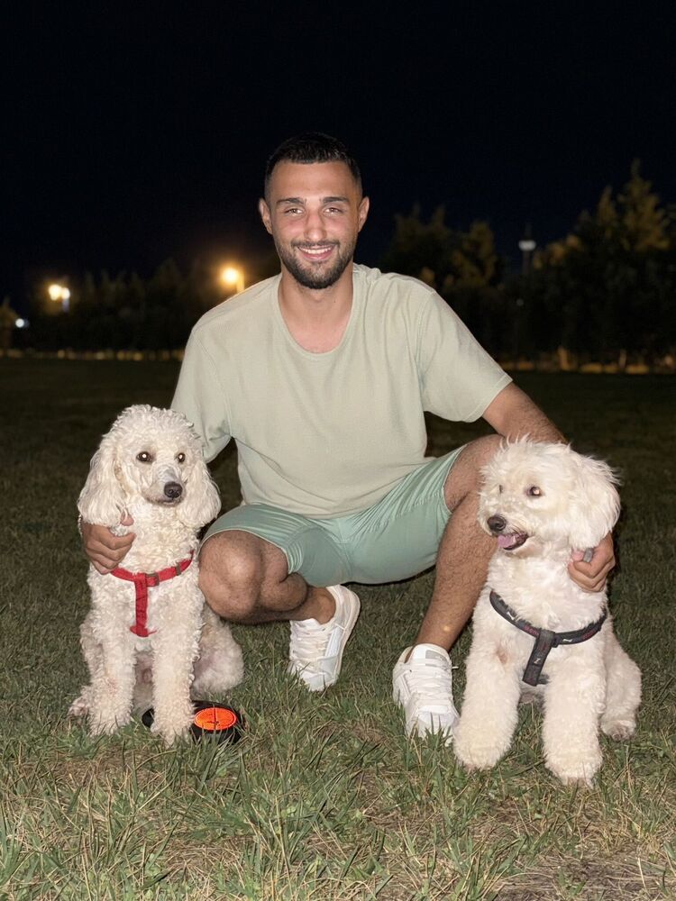 ���������� �����, ���� ����� �����, 24 ����, ������������ ��� ������, ����� � ���������, c�������� ���������, ���������