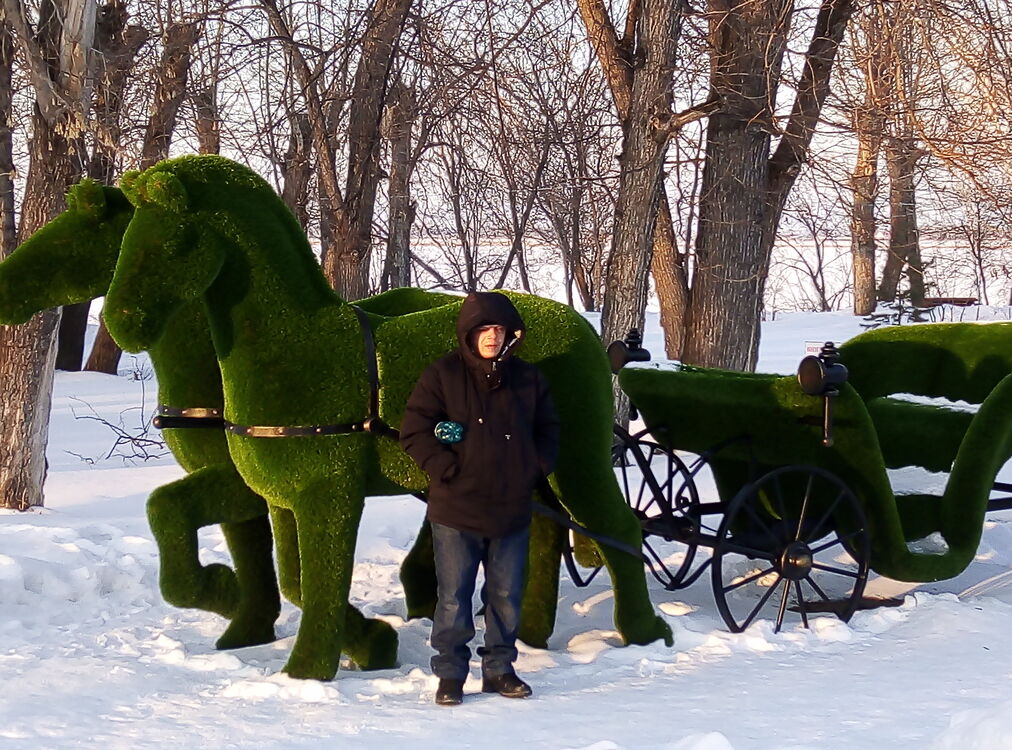 ���� 36490409 ������� ������, 43 ����, ���� ���������� � ������������