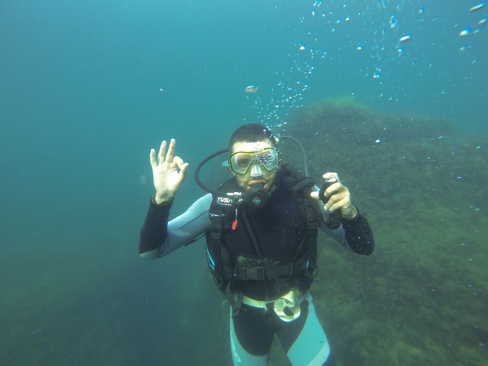 ���������� ������, ���� ������� ������, 38 ���, ������������ ��� ����� � ���������, c�������� ���������