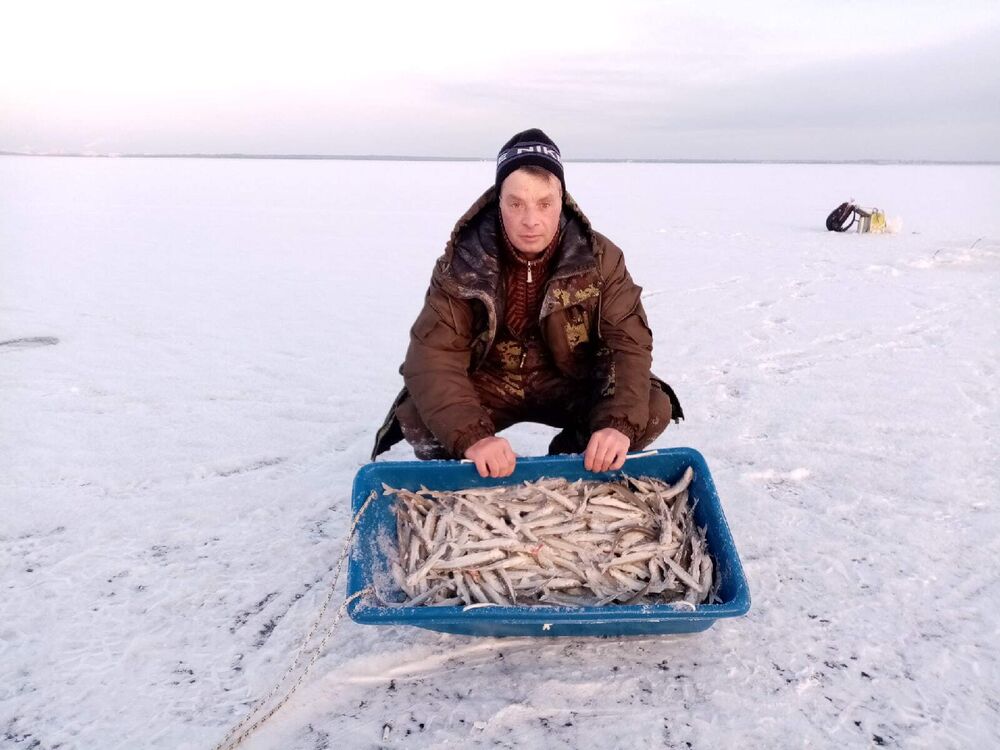 ���������� �����-���������, ���� ������� �����, 47 ���, ������������ ��� ������, ����� � ���������, c�������� ���������