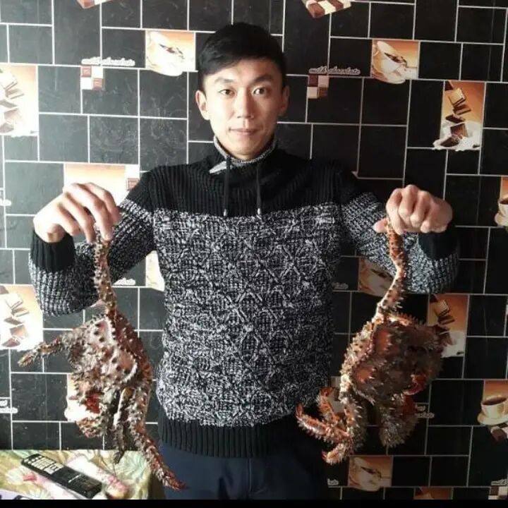 ���� 34301139 ������� ������, 37 ���, ���� ���������� � ����-����������