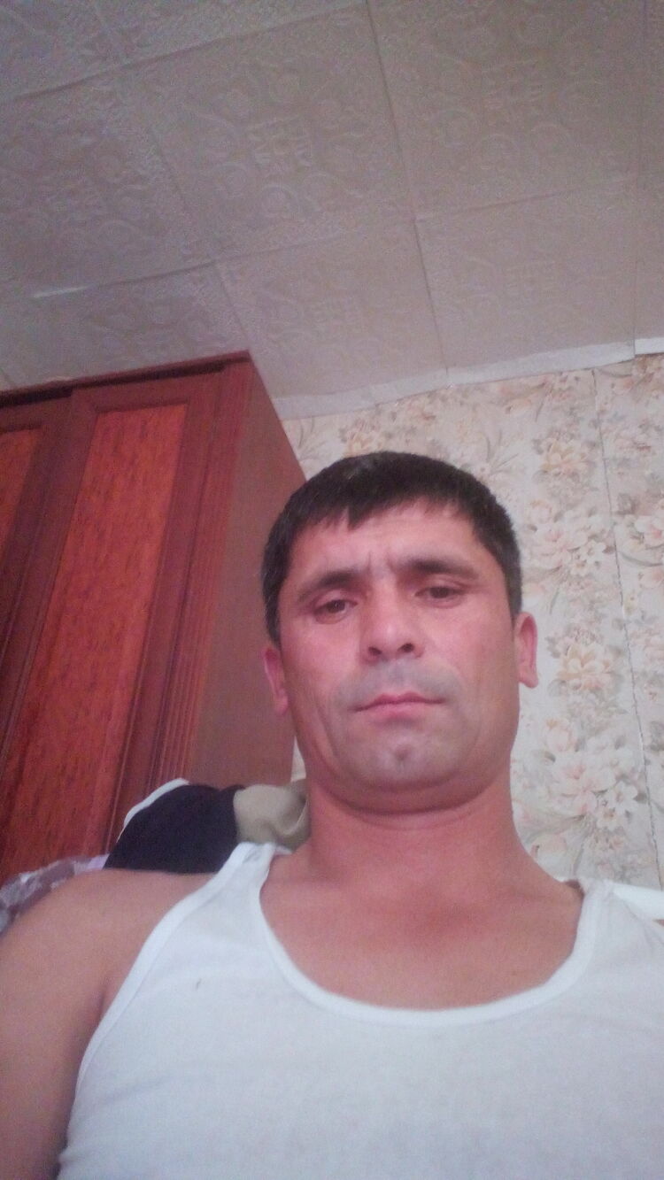 33320689  , 41 ,    