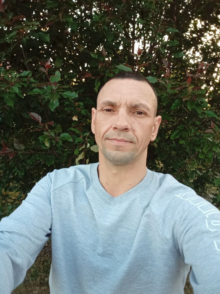  43322019  , 41 ,    