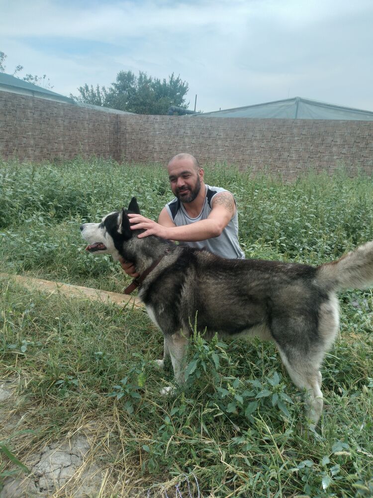 ���� 23818549 ������� �����, 42 ����, ���� ���������� � ����������