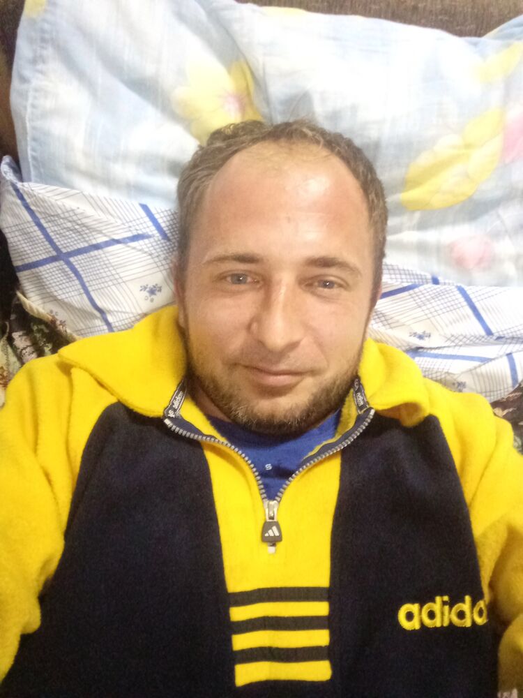  33759369  , 41 ,    