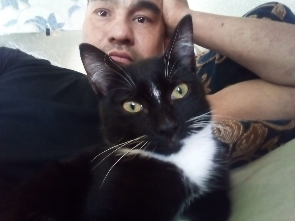 ���� 55252459 ������� ������, 41 ���, ���� ���������� � ���������