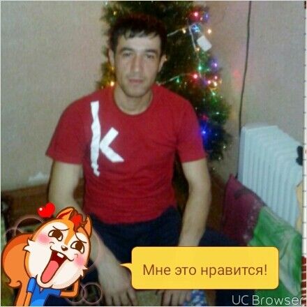 ���������� ������, ���� ������� Samandar, 33 ����, ������������ ��� ������, ����� � ���������, c�������� ���������