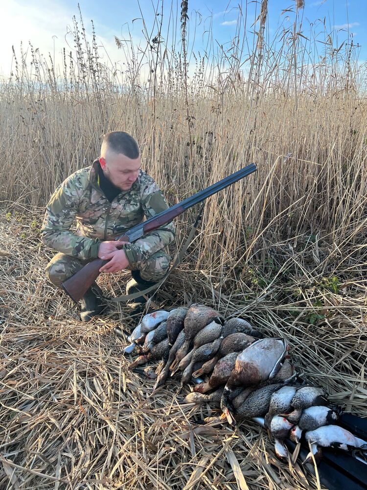  54360829  , 31 ,    --