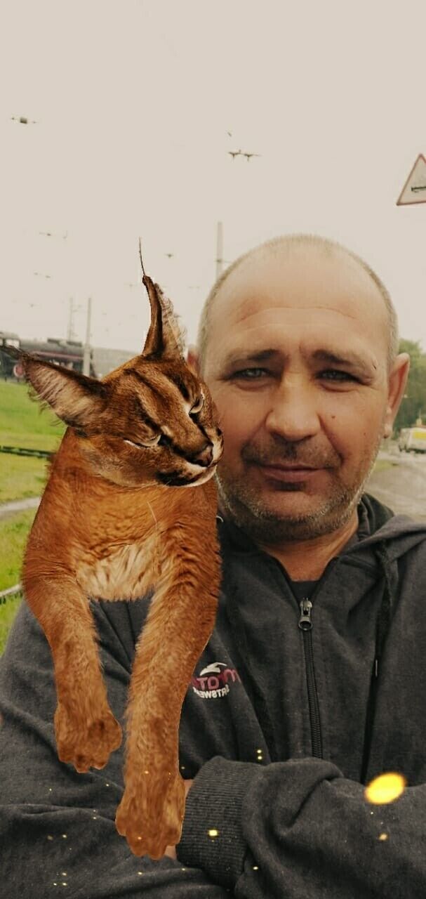  ,   , 50 ,   c , 