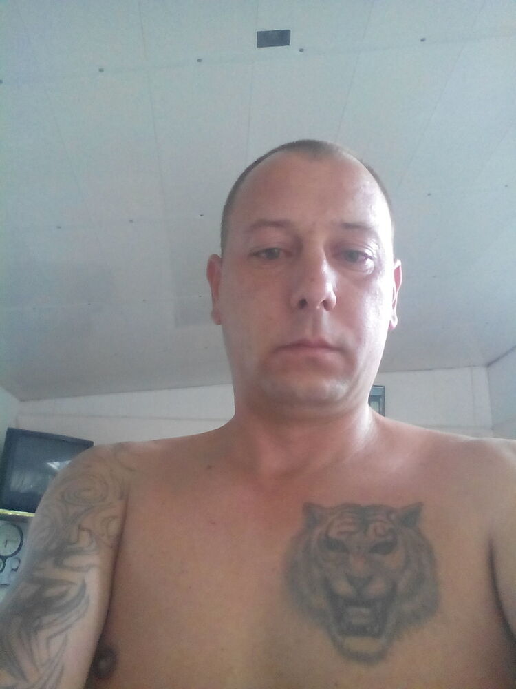  12464379  , 45 ,    