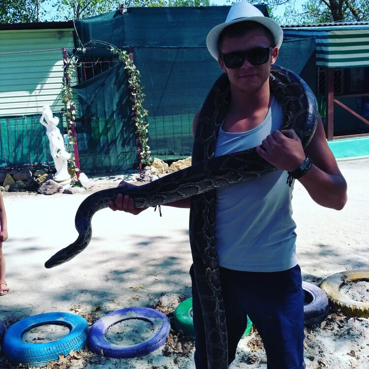 ���������� ������ ���, ���� ������� ���������, 28 ���, ������������ ��� ������, ����� � ���������, c�������� ���������