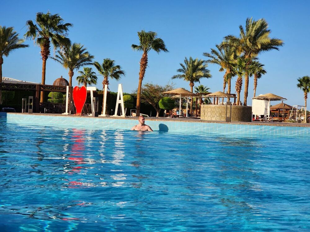 ���� 39291609 ������� Ulfheim, 29 ���, ���� ���������� � ������