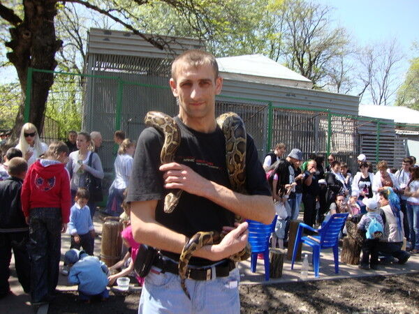 ���� 6153599 ������� �������, 45 ���, ���� ���������� � ������