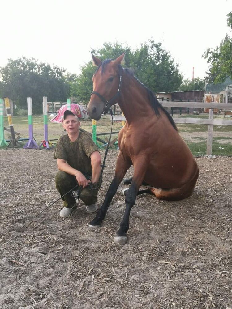 ���������� ������������, ���� ������� ����������, 49 ���, ������������ 