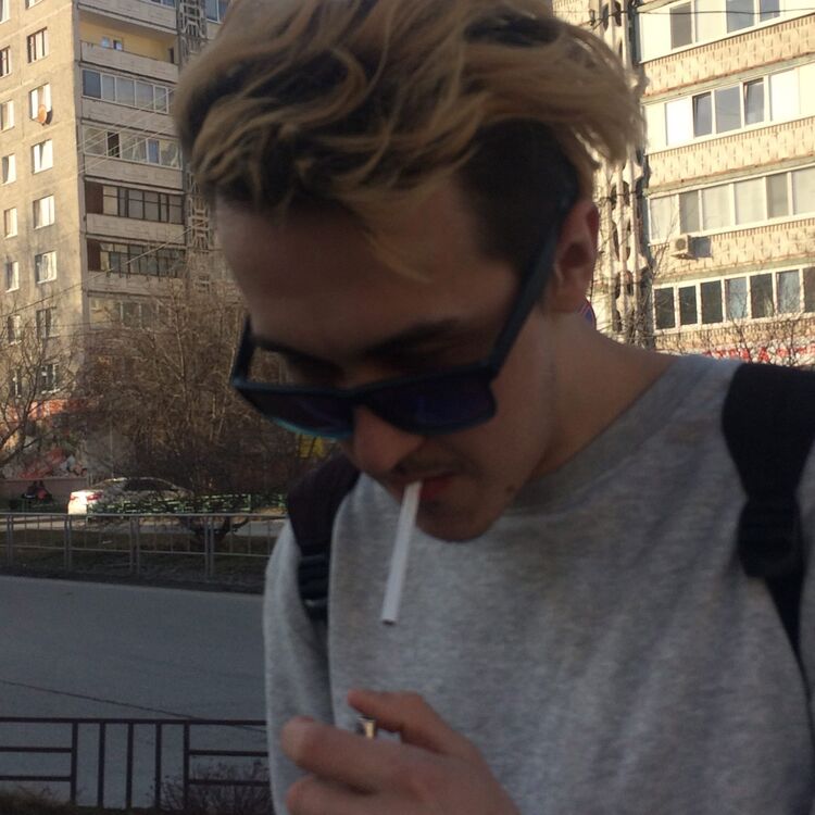 ���� 24237719 ������� Sinus, 27 ���, ���� ���������� � ������