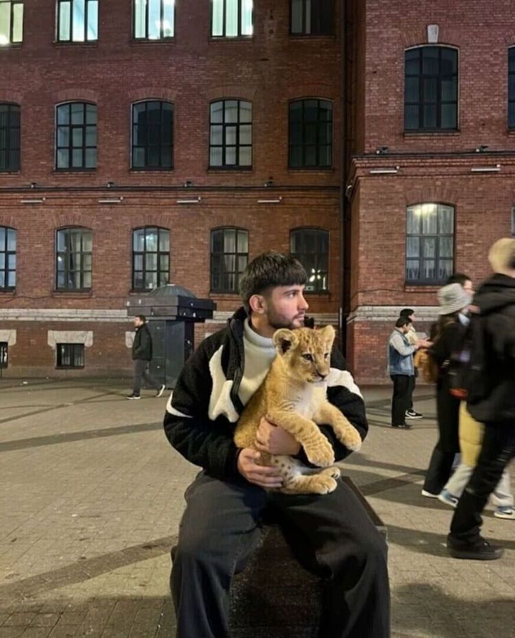  54032339  , 22 ,    -