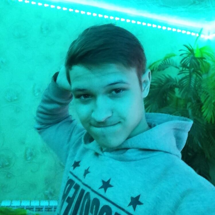  31412549  , 24 ,    