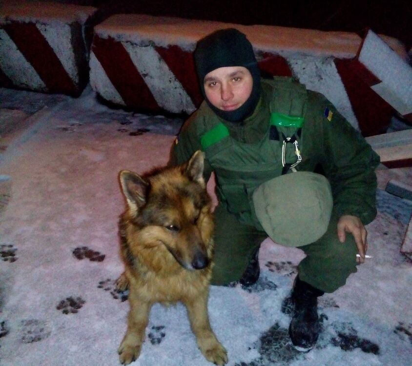 ���������� ��������, ���� ������� ������, 36 ���, ������������ ��� ������, ����� � ���������, c�������� ���������