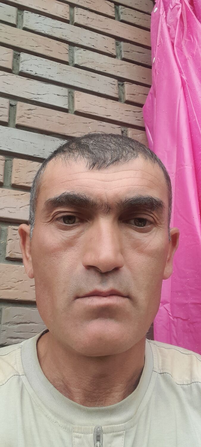  44250429  , 43 ,    --
