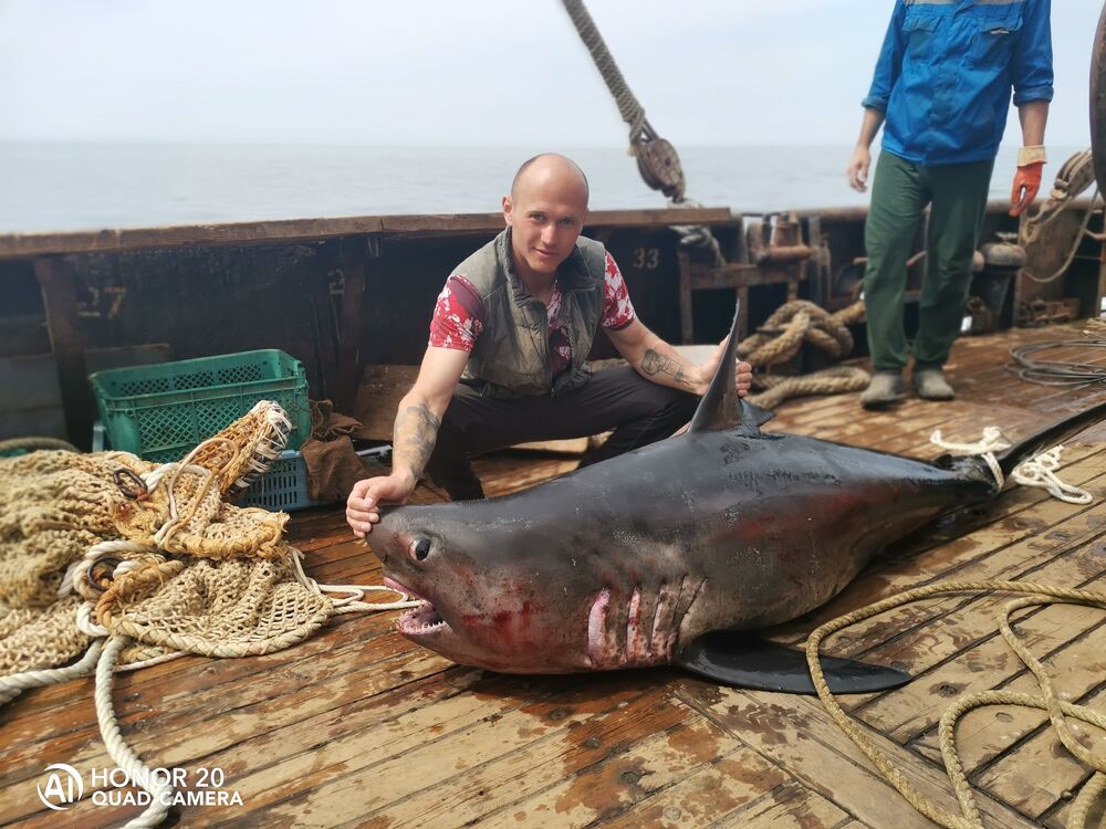 ���������� ������, ���� ������� ������, 32 ����, ������������ ��� ������, ����� � ���������