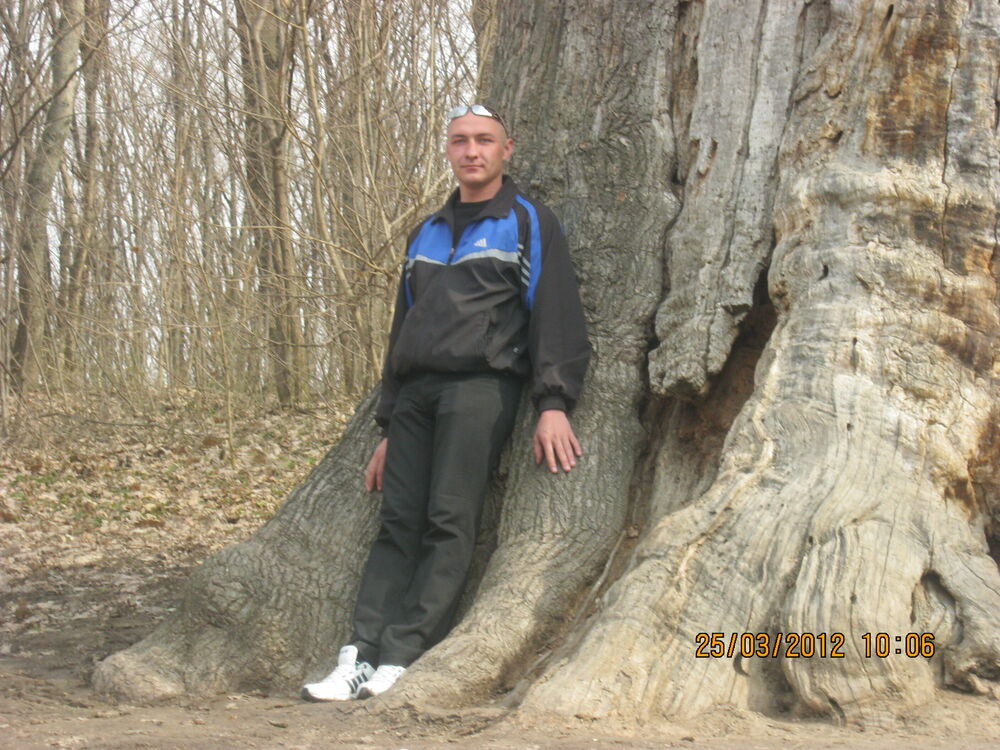 ���� 55142219 ������� ������, 40 ���, ���� ���������� � ���������