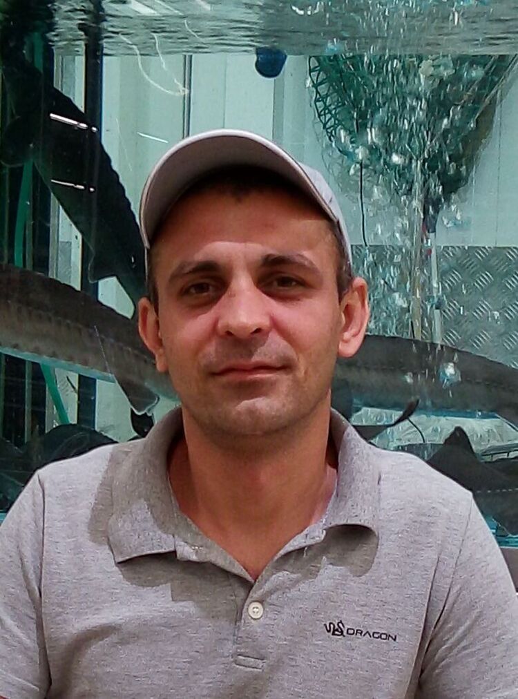 ���������� ������, ���� ������� ����, 37 ���, ������������ 