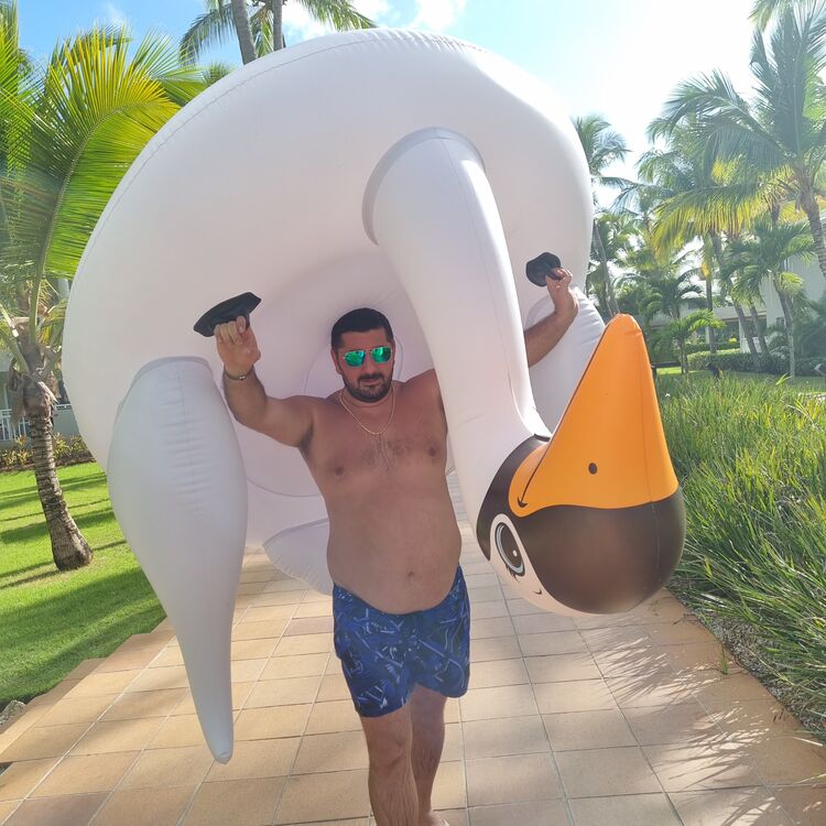 ���� 28134349 ������� ARMAN, 40 ���, ���� ���������� � �������