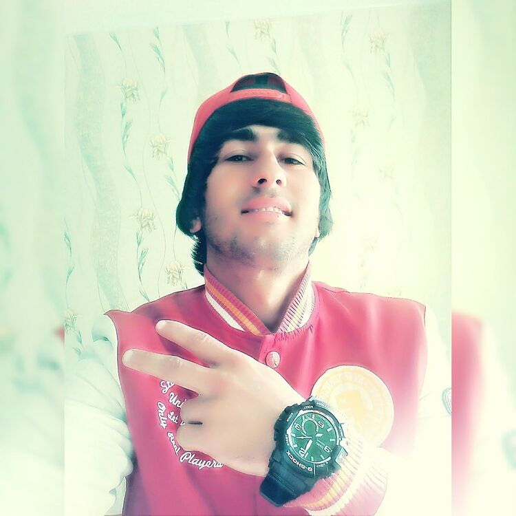  12480219  , 29 ,    