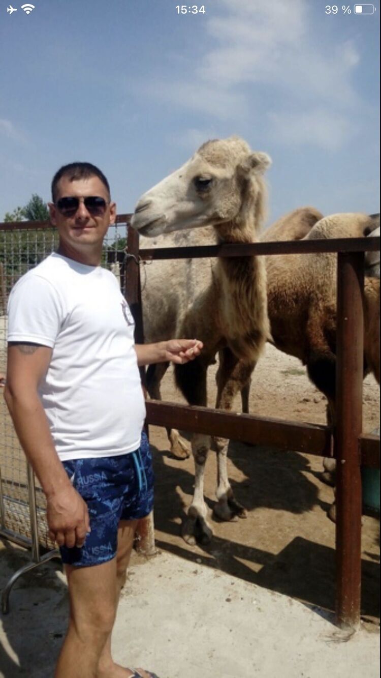 ���������� ������, ���� ������� �������, 40 ���, ������������ ��� ������, ����� � ���������