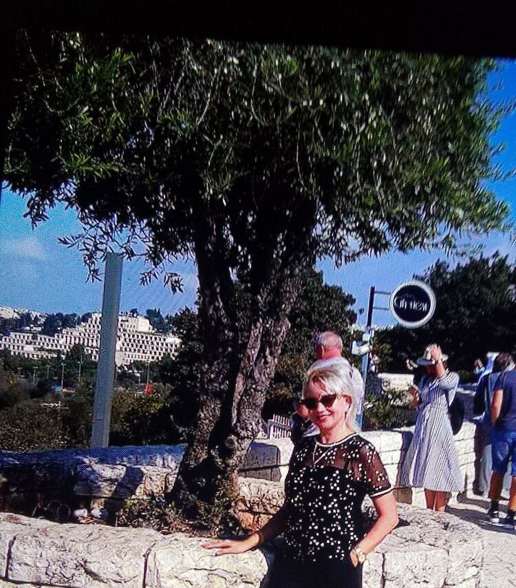 ���� 55933439 ������� ����, 52 ����, ���� ���������� � ������������